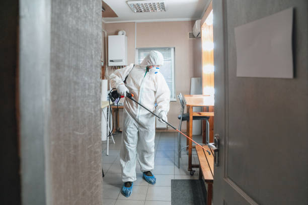 Environmental Consulting for Mold Prevention in Wilber, NE