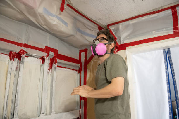 Best Crawl Space Mold Remediation  in Wilber, NE