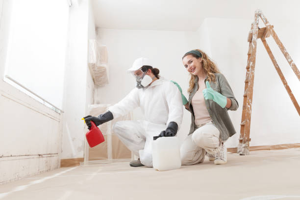  Wilber, NE Mold Removal Pros